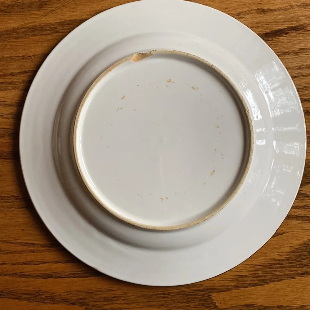 2 Bird hand painted plates, Pier 1 Imports, 8.5”